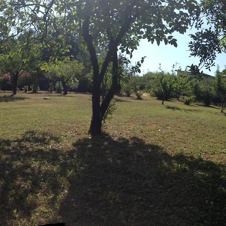 Secluded 1.8 Acre Garden Villa, For Exclusive Use With Stunning Views. Kalandra Exterior photo
